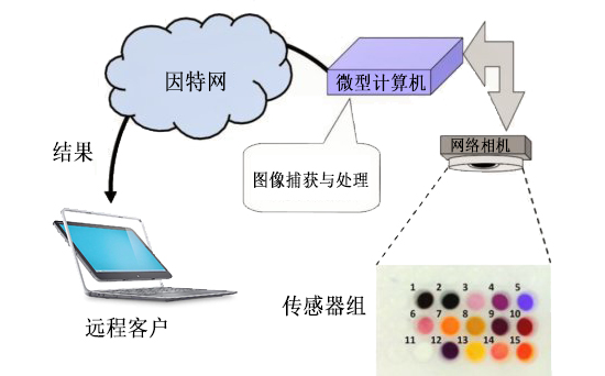 低费用远程检测危险气体浓度系统示意图