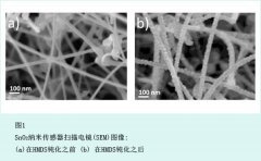 嵌入微反应器系统气体传感器的自检程序